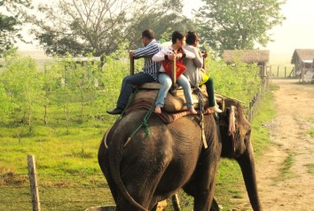 Chitwan Jungle Safari package